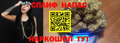 Альфа ПВП Можайск