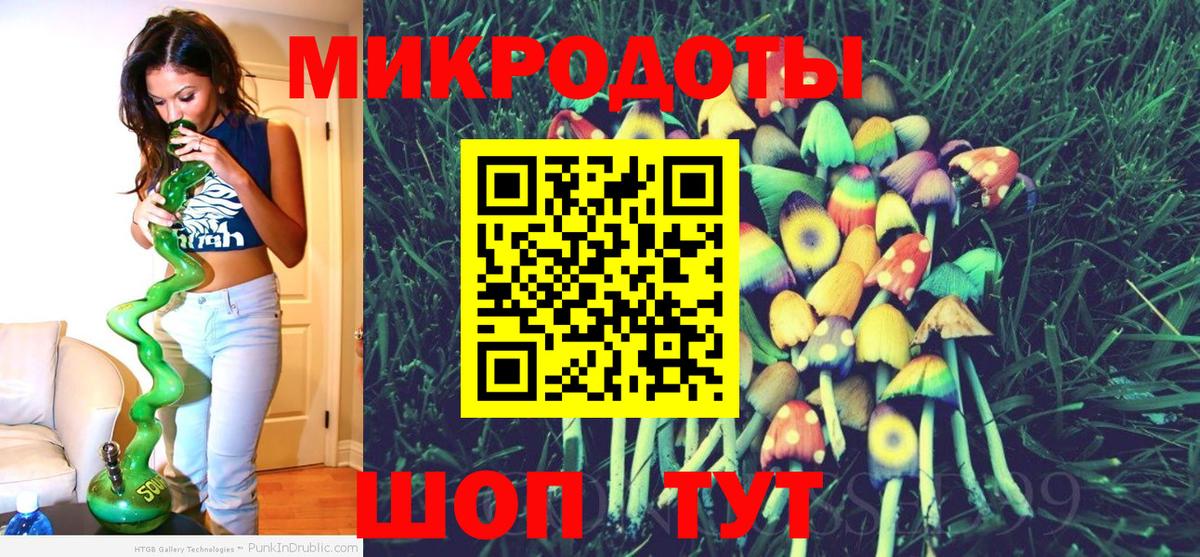 Псилоцибиновые грибы Psilocybine cubensis Тайшет